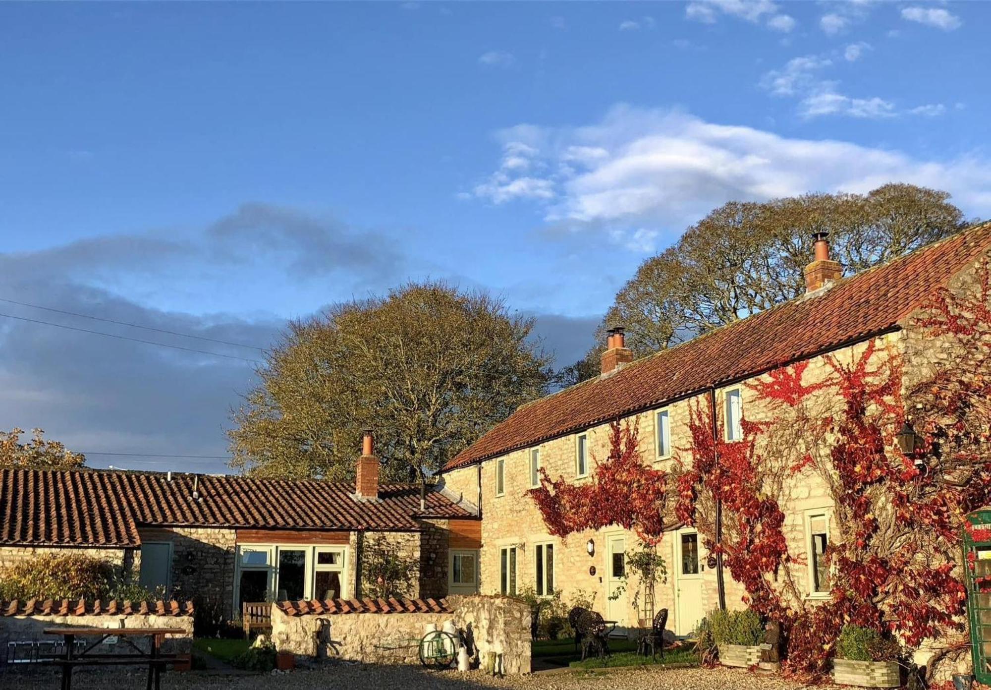 Kirkdale Holiday home