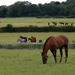 Cliff Stud Retreat, Helmsley, Frankel Cottage
