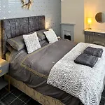 Lily Pad - Uk49104