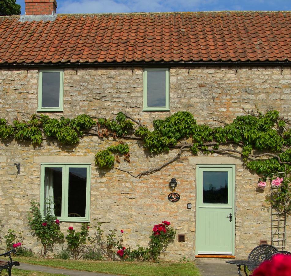 Riccal Dale Holiday home *