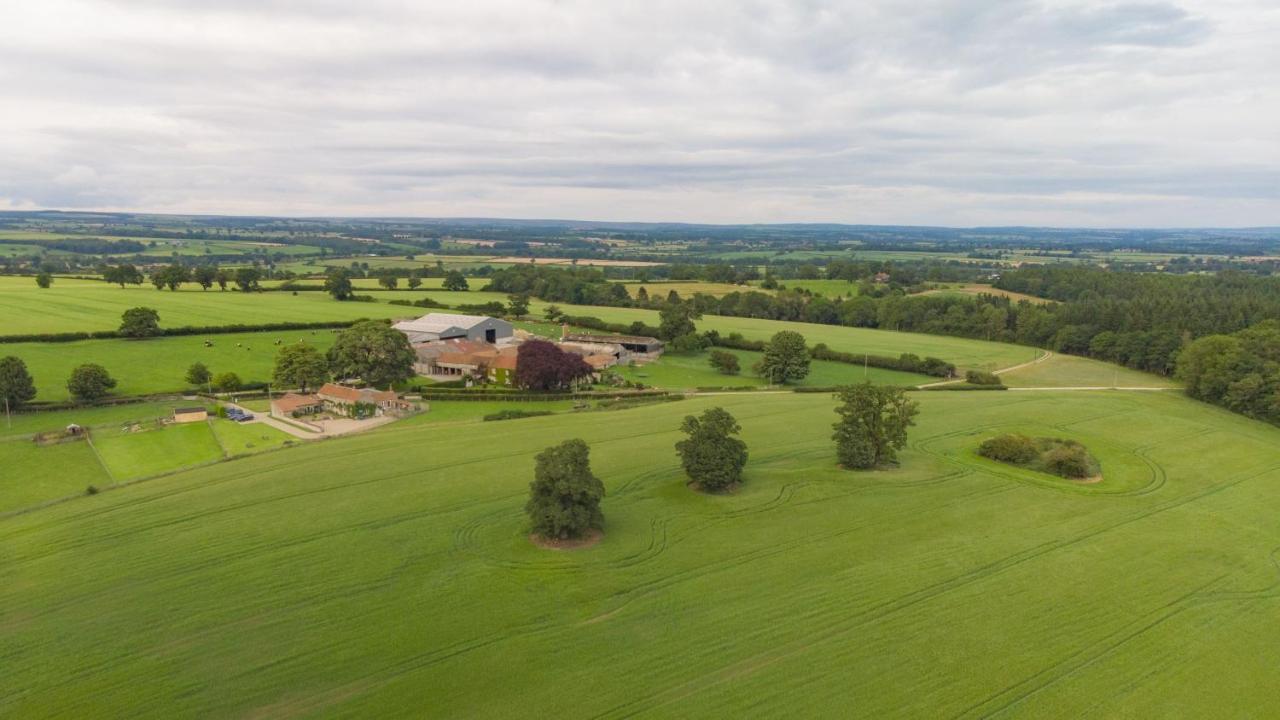 Ryedale Helmsley