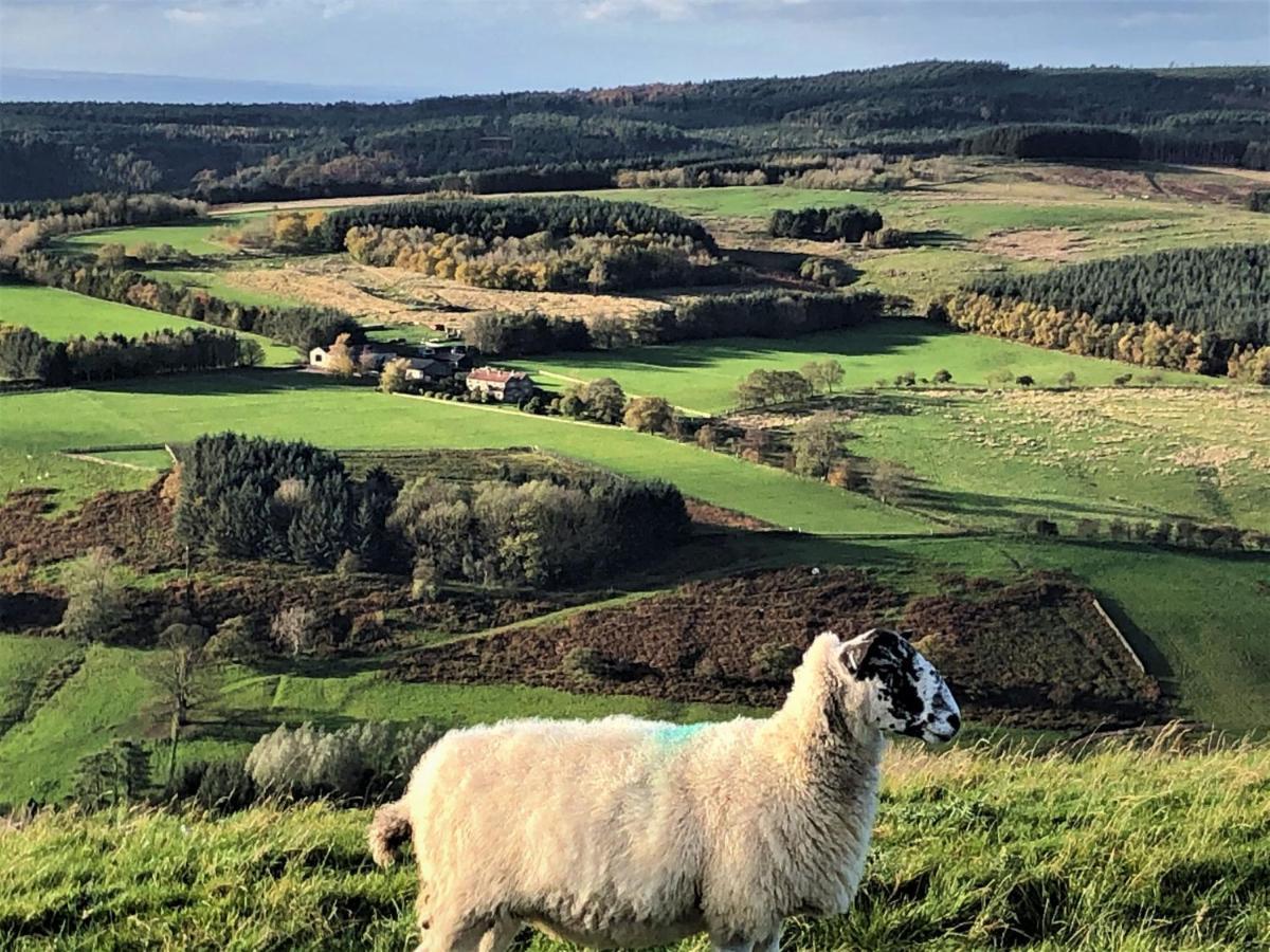 Bilsdale