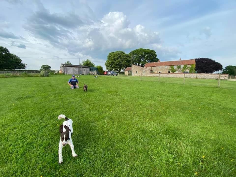 Riccal Dale Holiday home