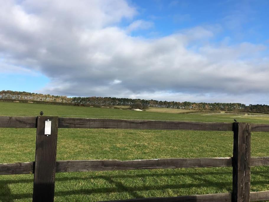 Cliff Stud Retreat, Helmsley, Frankel *