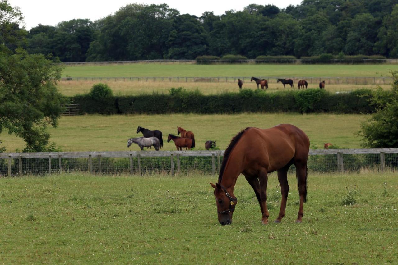 Cliff Stud Retreat - Luxury And Cosy *
