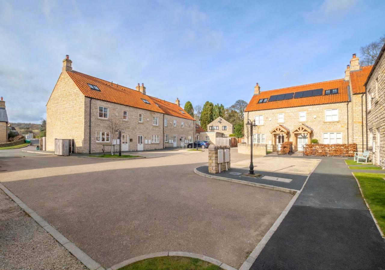 Cygnet * Helmsley
