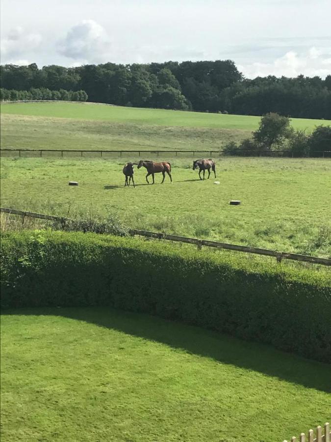 Cliff Stud Retreat - Luxury And Cosy *