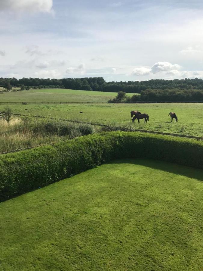 Cliff Stud Retreat - Luxury And Cosy Campsite Helmsley