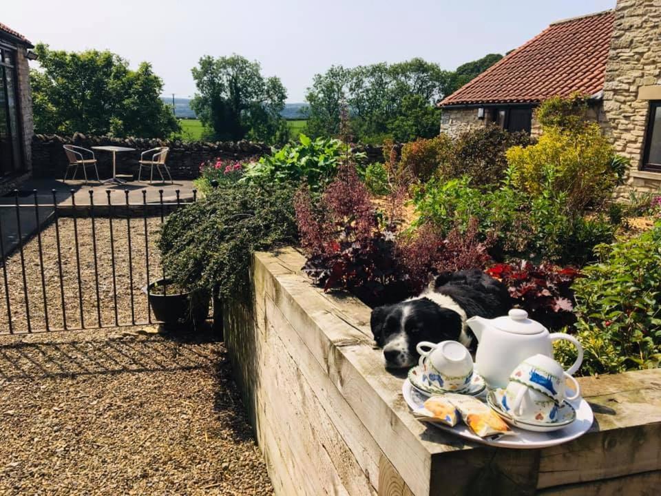 Valley View Farm Holiday home