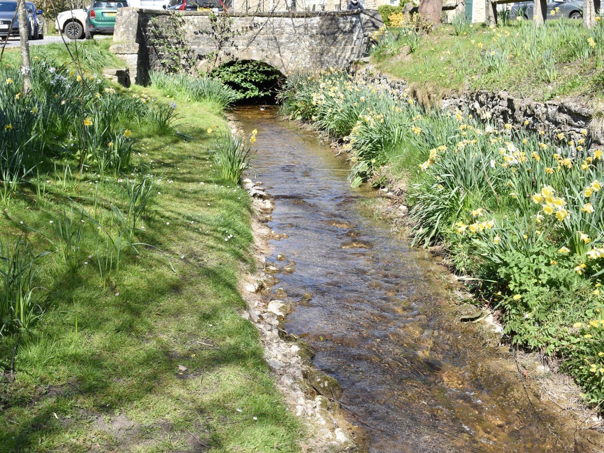Borough Beck