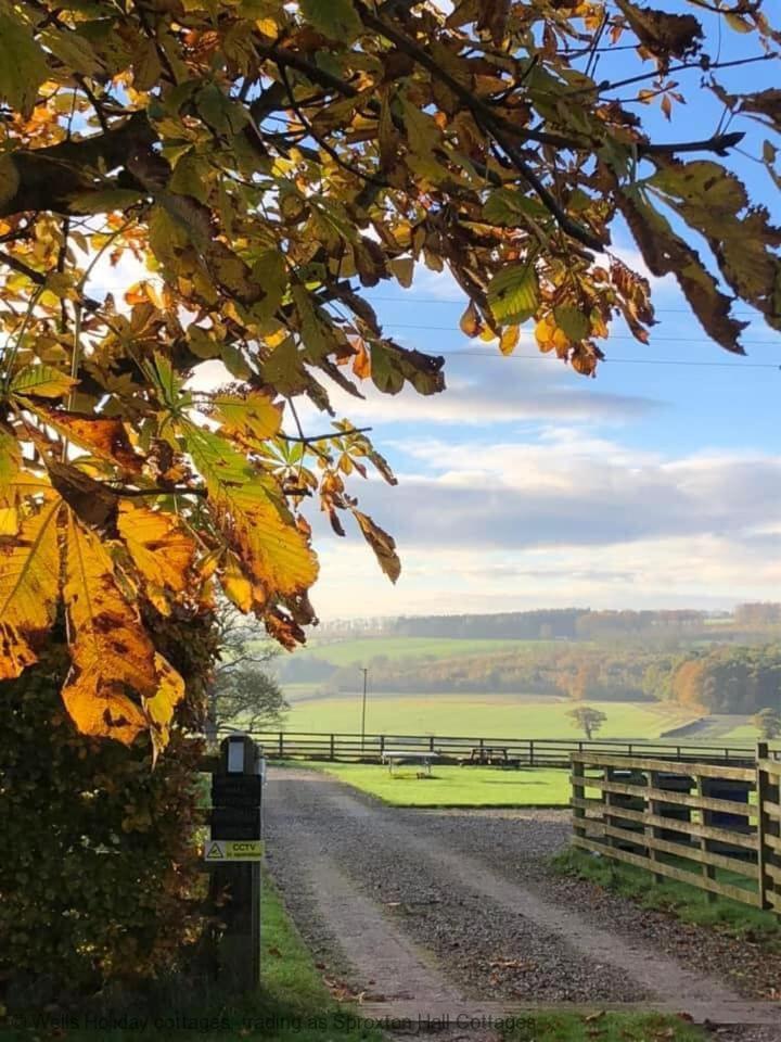 Holiday home Riccal Dale