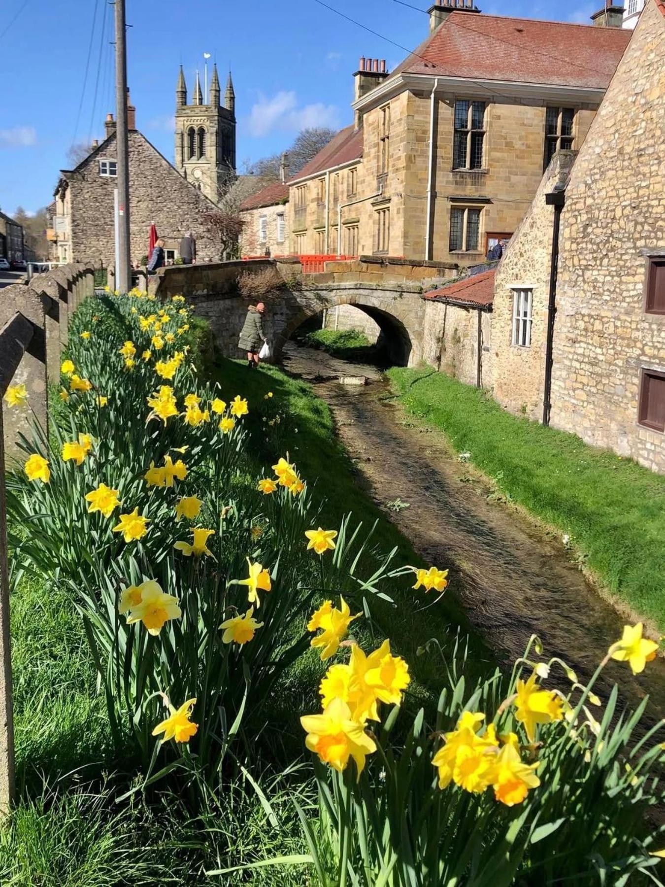 Ryedale Helmsley