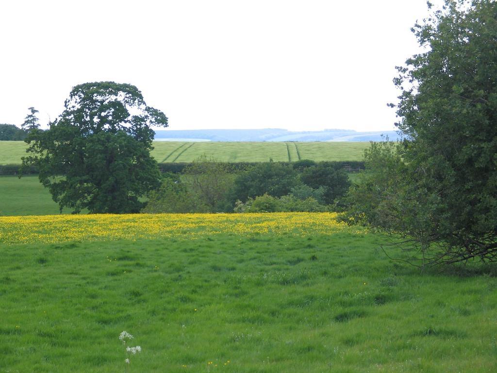 High Rigg Helmsley