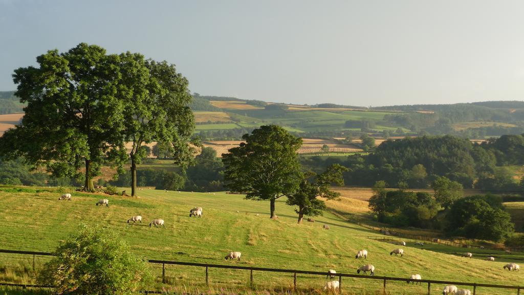 Shallowdale House Helmsley