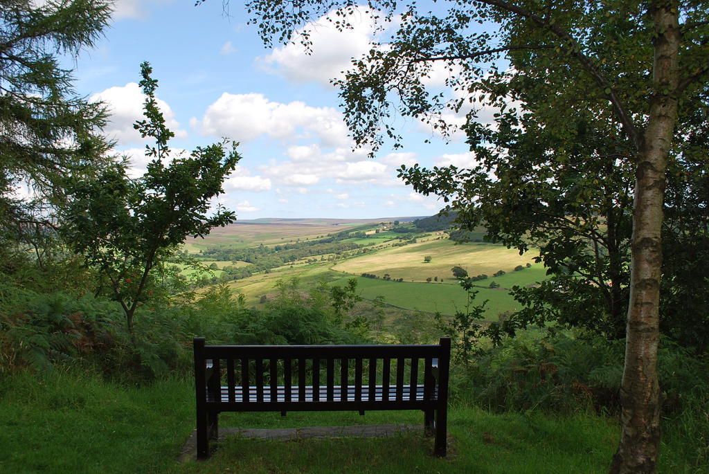 Bed & Breakfast Carlton 4*