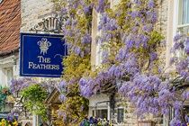 The Feathers Hotel