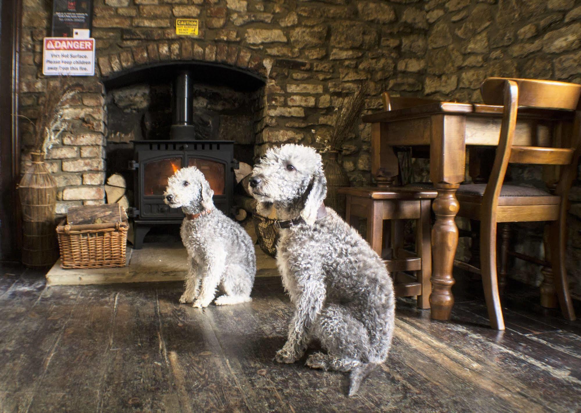 The Royal Oak 3*