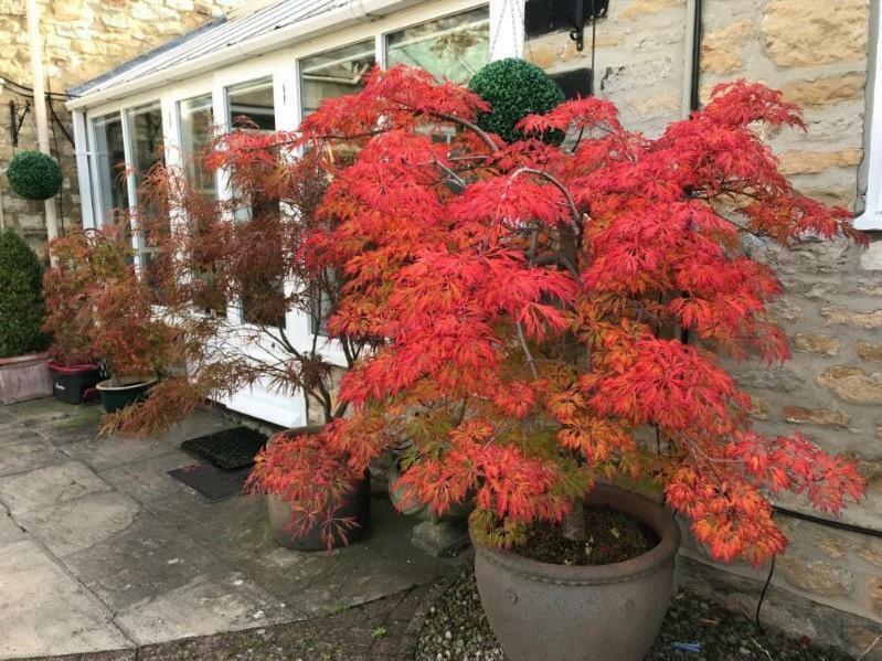 Stilworth House 4* Helmsley